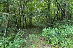 35716 M 140 Hwy, Covert, MI 49043 - Photo 24
