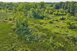 299 Rodeo Dr, Union City, MI 49094 - Photo 82