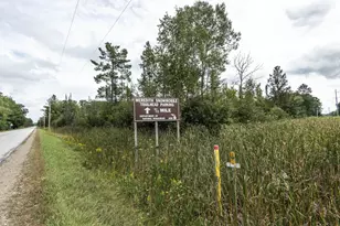 5049 Ruby Dr, Gladwin, MI 48624 - Photo 38