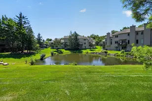 117 Ponds View Dr, Ann Arbor, MI 48103 - Photo 48