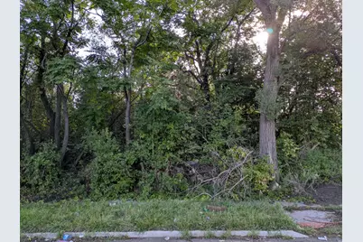 17280 Dequindre Street, Detroit, MI 48212 - Photo 8