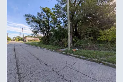 17280 Dequindre Street, Detroit, MI 48212 - Photo 10