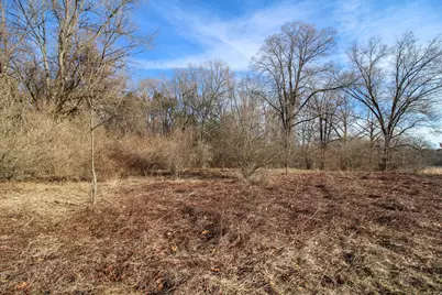 Shorewood Lot 1 Drive, Three Rivers, MI 49093 - Photo 4