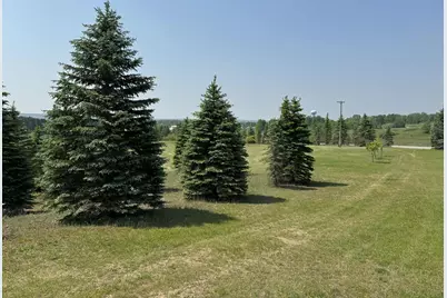 6294 100th Avenue, Evart, MI 49631 - Photo 14
