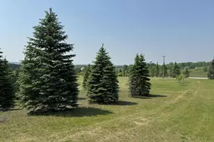 6294 100th Ave, Evart, MI 49631 - Photo 14