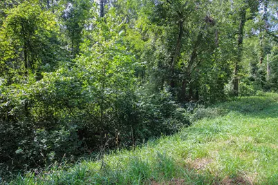 V/L Millard Road, Three Rivers, MI 49093 - Photo 2