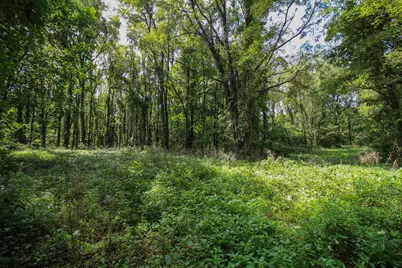 V/L Millard Road, Three Rivers, MI 49093 - Photo 10