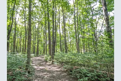 32422 County Road 687, Bangor, MI 49013 - Photo 20