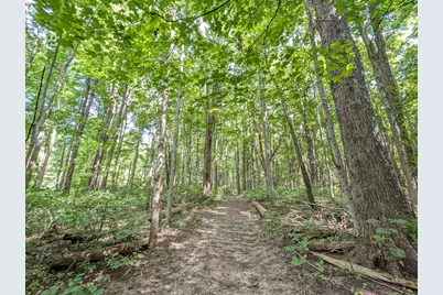 32422 County Road 687, Bangor, MI 49013 - Photo 24