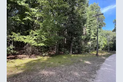 Lot 136 Wayne Avenue, Pentwater, MI 49449 - Photo 1