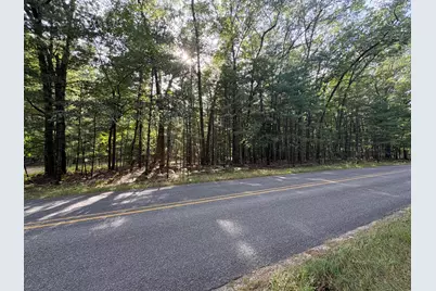 Lot 136 Wayne Avenue, Pentwater, MI 49449 - Photo 2