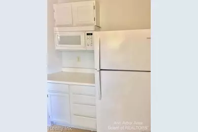 627 N Adams, Ypsilanti, MI 48197 - Photo 8