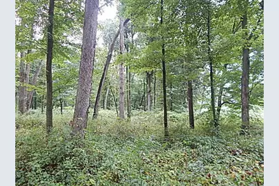 29650 D Drive S, Albion, MI 49224 - Photo 26