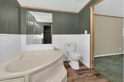 11199 S Holland Road, Fenwick, MI 48834 - Photo 30