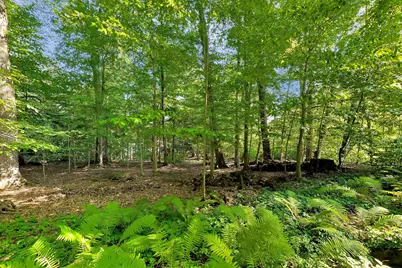 7043 Sand Dune Drive, Sawyer, MI 49125 - Photo 48