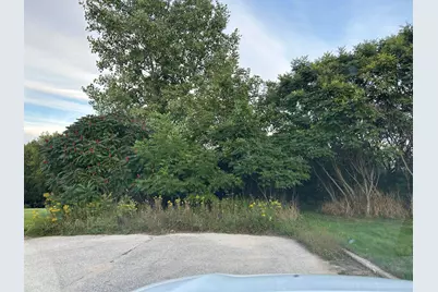 N Michigan Street, Fremont, MI 49412 - Photo 2