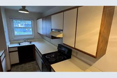 164 Irwin Street, Brooklyn, MI 49230 - Photo 4
