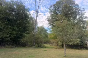 1505 E Van Buren St, White Cloud, MI 49349 - Photo 4