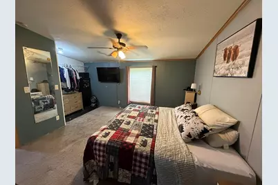 40 S Pine Street, Grand Junction, MI 49056 - Photo 12