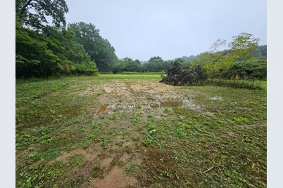0 Vrooman Road, Jackson, MI 49201 - Photo 6