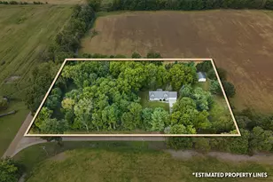 994 Herl Rd, Bronson, MI 49028 - Photo 4