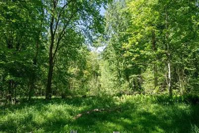 0 V/L W Fern Glen, Fremont, MI 49412 - Photo 8