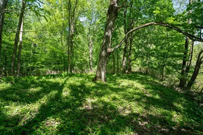0 V/L W Fern Glen, Fremont, MI 49412 - Photo 12