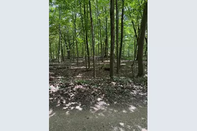 0 V/L W Fern Glen, Fremont, MI 49412 - Photo 20