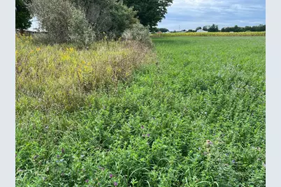 Vining Road, Lakeview, MI 48850 - Photo 2