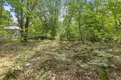 V/L Seneca Dr., Howard City, MI 49329 - Photo 6