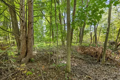 V/L Blackfoot Trail, Howard City, MI 49329 - Photo 10