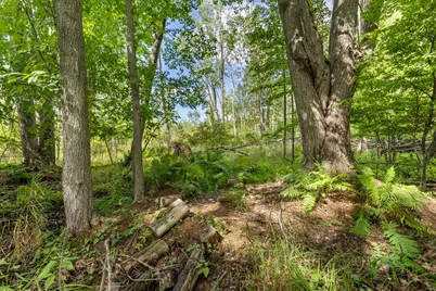 V/L Blackfoot Trail, Howard City, MI 49329 - Photo 8
