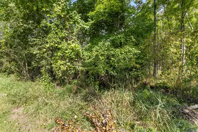 V/L Cochise Dr., Howard City, MI 49329 - Photo 4