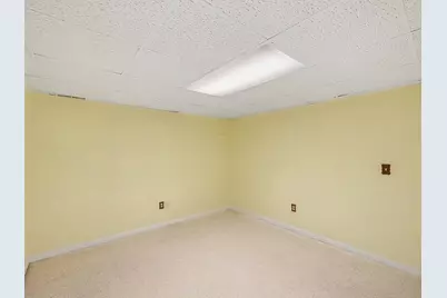 905 Moore Drive, Chelsea, MI 48118 - Photo 16