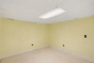 905 Moore Dr, Chelsea, MI 48118 - Photo 16