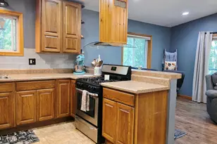1022 Circle Dr, Lake Isabella, MI 48893 - Photo 8
