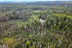 6720 W Welch Rd, Curran, MI 48728 - Photo 58