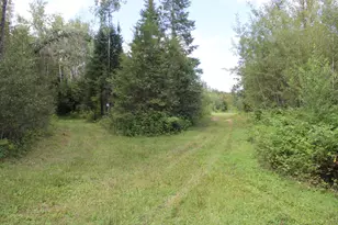 6720 W Welch Rd, Curran, MI 48728 - Photo 144