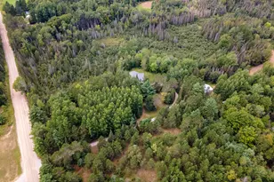 6720 W Welch Rd, Curran, MI 48728 - Photo 66
