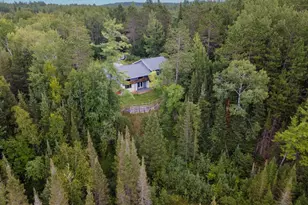 6720 W Welch Rd, Curran, MI 48728 - Photo 16