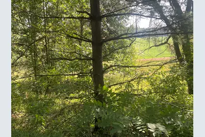 B Grand River Road, Rives Junction, MI 49277 - Photo 2