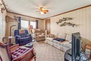 10010 S Beech Ave, Howard City, MI 49329 - Photo 10