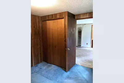 9323 Eva Drive, Crystal, MI 48818 - Photo 6