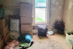 8435 N Democrat Street N, Free Soil, MI 49411 - Photo 28