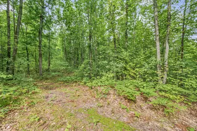 V/L 05 8 Mile Rd, Evart, MI 49631 - Photo 10