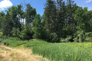 7338 M-129, Pickford, MI 49774 - Photo 66