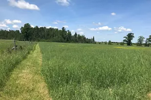 7338 M-129, Pickford, MI 49774 - Photo 62