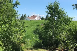 7338 M-129, Pickford, MI 49774 - Photo 60