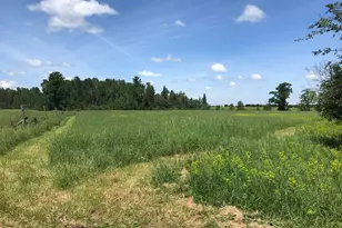 7338 M-129, Pickford, MI 49774 - Photo 64