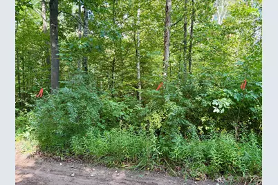 16396 S 50th Avenue, Marion, MI 49665 - Photo 64